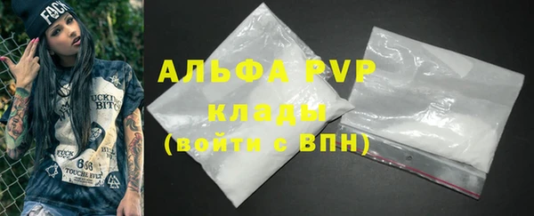 стаф Белокуриха