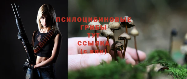 дживик Богородск