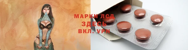 стаф Белокуриха