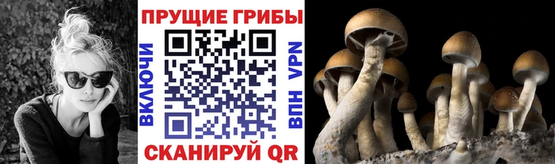 Псилоцибиновые грибы MAGIC MUSHROOMS  Болохово 