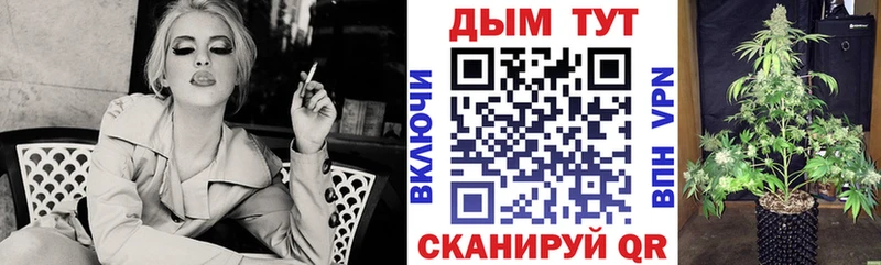 цена наркотик  Болохово  Бошки марихуана THC 21% 